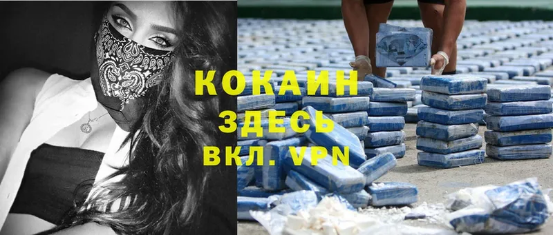 Cocaine Эквадор  купить  цена  Райчихинск 