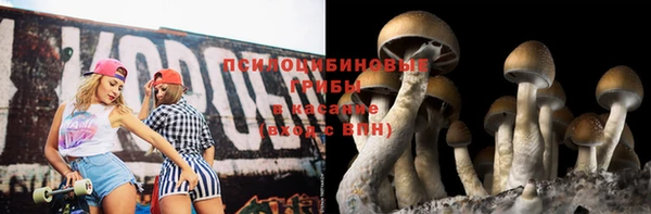 молекула духа Магадан