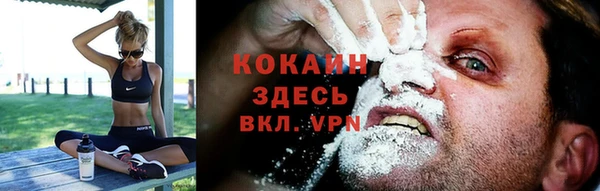 молекула духа Магадан