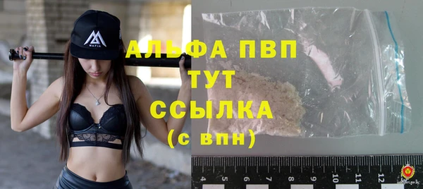 PSILOCYBIN Магас