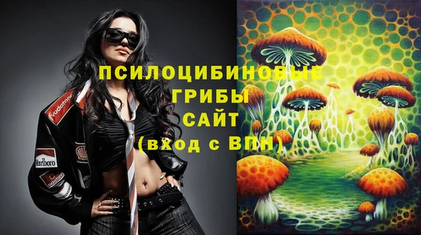 молекула духа Магадан