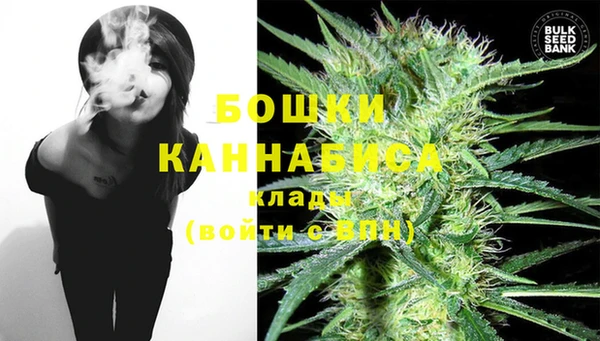 PSILOCYBIN Магас