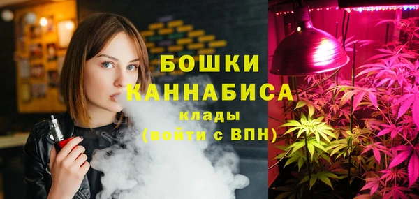 PSILOCYBIN Магас