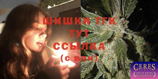PSILOCYBIN Магас
