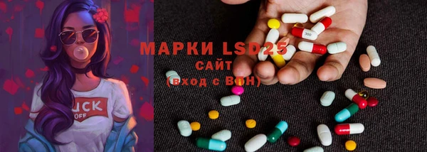 PSILOCYBIN Магас