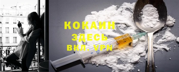 молекула духа Магадан