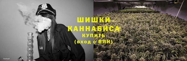 молекула духа Магадан
